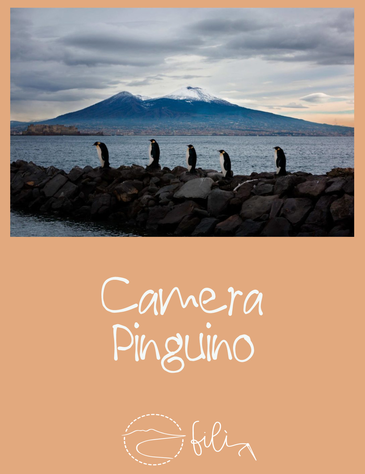 Camera Pinguino
